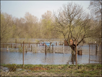 Информационный вестник выпуск 7 (2021г)