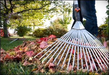 Информационный вестник выпуск 8 (2021г)