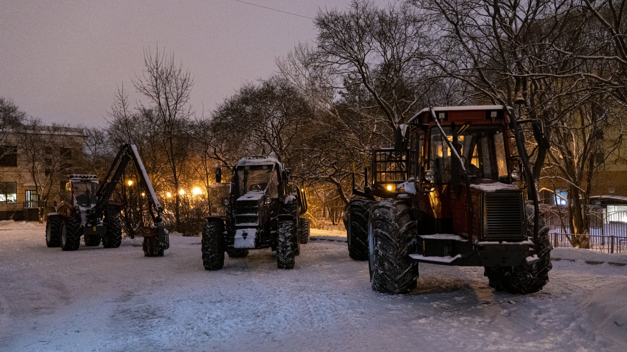 Российский лес 2020