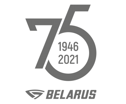 Информационный вестник выпуск 13 (2021г)